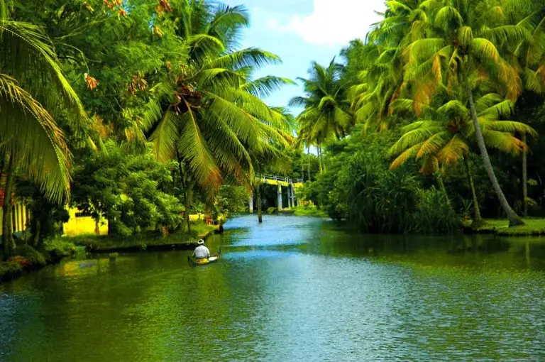 Uncover the hidden gems of Kerala's lush landscapes and cultural treasures.